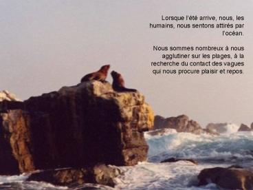 Sin ttulo de diapositiva