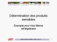 Dtermination des produits sensibles PowerPoint PPT Presentation