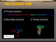 RNA structure: tRNA