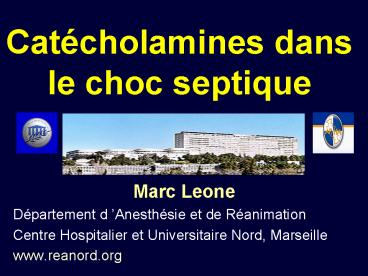 Catcholamines dans le choc septique