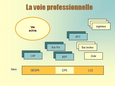 La voie professionnelle