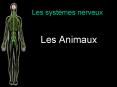 Les syst PowerPoint PPT Presentation