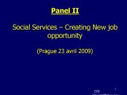 Panel II Social Services 