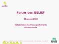Forum local BELIEF 16 janvier 2008 R PowerPoint PPT Presentation