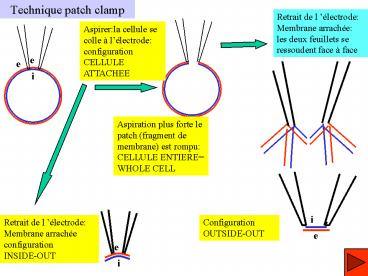 presentation player overlay