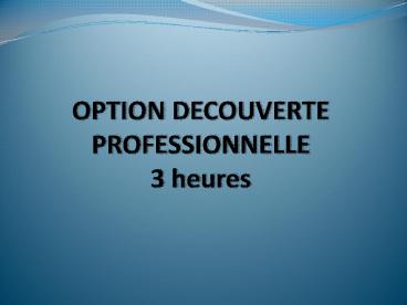OPTION DECOUVERTE PROFESSIONNELLE 3 heures