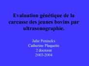 Evaluation g