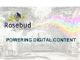 POWERING DIGITAL CONTENT PowerPoint PPT Presentation