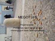 MEGOT H.S