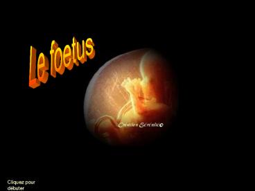Le foetus