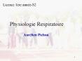 Respiration PowerPoint PPT Presentation