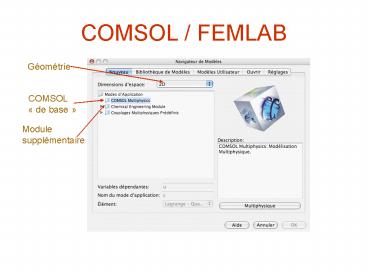 COMSOL FEMLAB
