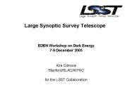 Large Synoptic Survey Telescope
