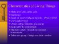 Characteristics of Living Things PowerPoint PPT Presentation