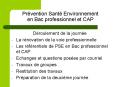 Prvention Sant Environnement en Bac professionnel et CAP PowerPoint PPT Presentation
