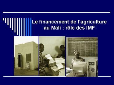 Le financement de lagriculture au Mali : rle des IMF