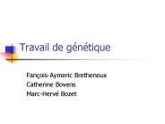Travail de gntique