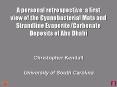 A personal retrospective: a first view of the Cyanobacterial Mats and Strandline EvaporiteCarbonate PowerPoint PPT Presentation