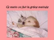 Ce matin on fait la gr