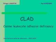 CLAD Canine leukocyte adhesion deficiency