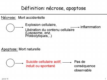 Aucun titre de diapositive