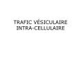 TRAFIC V PowerPoint PPT Presentation