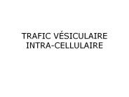 TRAFIC V