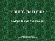 FRUITS EN FLEUR