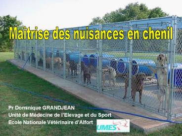 Pr Dominique GRANDJEAN