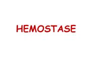 HEMOSTASE