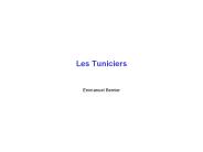 Les%20Tuniciers