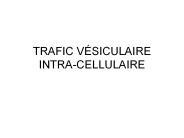 TRAFIC%20V
