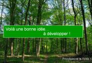 Ecologie !