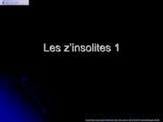 Les zinsolites 1
