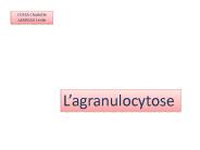 Diapositive 1