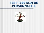 TEST TIBETAIN DE PERSONNALITE