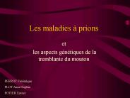 Les maladies 