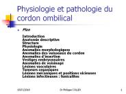 Physiologie et pathologie du cordon ombilical