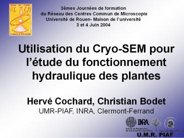 Utilisation du Cryo-SEM pour l
