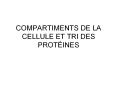 COMPARTIMENTS%20DE%20LA%20CELLULE%20ET%20TRI%20DES%20PROT PowerPoint PPT Presentation