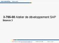 378500 Atelier de dveloppement SAP PowerPoint PPT Presentation
