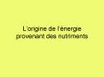 Lorigine de lnergie provenant des nutriments PowerPoint PPT Presentation