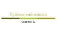 Systme endocrinien PowerPoint PPT Presentation