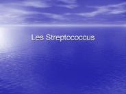 Les Streptococcus