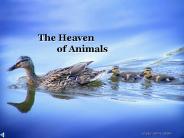 The Heaven of Animals