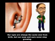 Interesting Facts