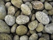 CorporateComplexSimplicity