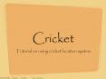 cricket PowerPoint PPT Presentation