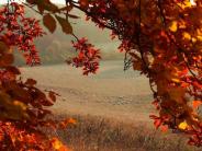 Cherish and Preserve Peace