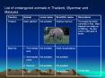 List of endangered animals in Thailand, Myanmar and Malaysia PowerPoint PPT Presentation